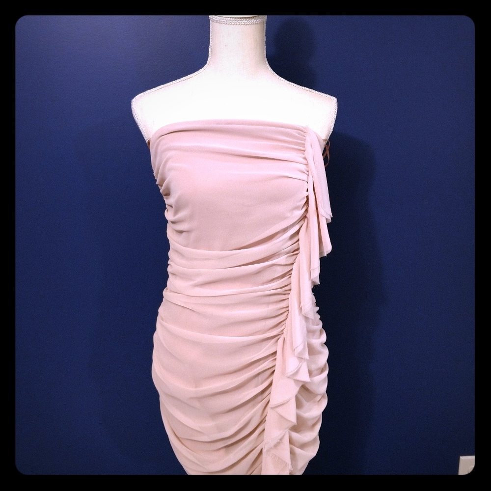 NWT! Blush party or cocktail dress.